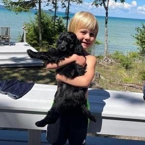 Meet your Posher, Annie